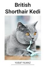 British Shorthair Kedi