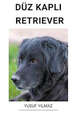 Düz Kapl¿ Retriever