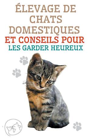 Élevage de Chats Domestiques et Conseils Pour les Garder Heureux