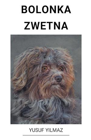 Bolonka Zwetna