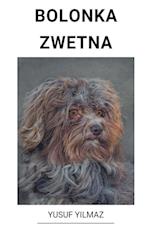 Bolonka Zwetna