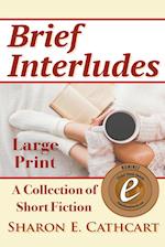 Brief Interludes (Large Print Edition) 