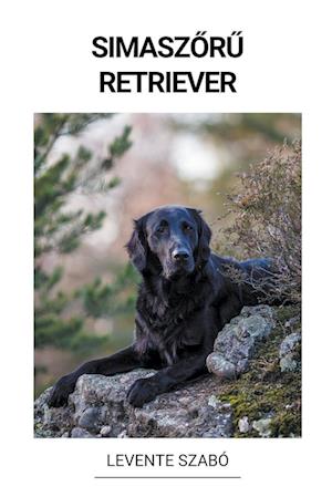 Simasz¿r¿ Retriever