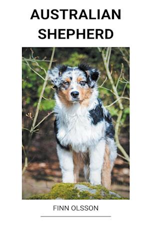 Australian Shepherd