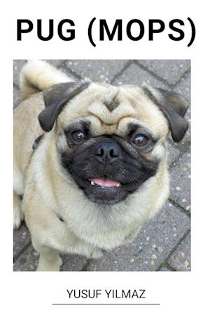 Pug (Mops)