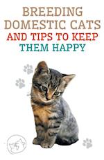 Breeding Domestic Cats and Tips to Keep Them Happy 