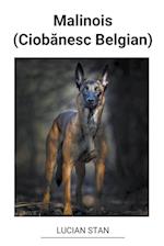 Malinois (Ciob¿nesc Belgian)