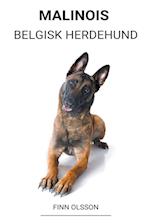 Malinois (Belgisk Herdehund)