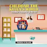 Cheddar The Kitten's World: Cheddar's Surprise at the Vet 
