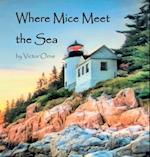 Where Mice Meet the Sea 