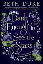 DARK ENOUGH TO SEE THE STARS: The Sequel to IT ALL COMES BACK TO YOU 