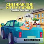 Cheddar The Kitten's World