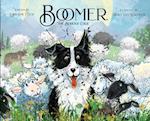 Boomer the Border Collie 