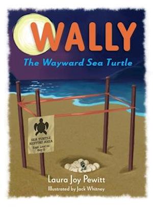 Wally, The Wayward Sea Turtle