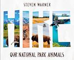 HIKE: A Wildlife Spotting Adventure Through Our Great National Parks 