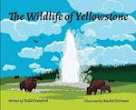 The Wildlife Of Yellowstone 