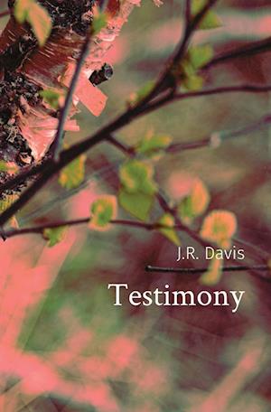 Testimony