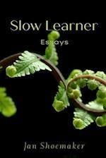 Slow Learner 