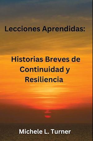 Lecciones  Aprendidas