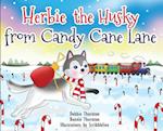 Herbie the Husky from Candy Cane Lane 