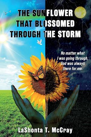 The Sunflower That Blossomed Through The Storm