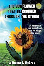 The Sunflower That Blossomed Through The Storm