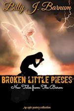 Broken Little Pieces New Tales from The Baron