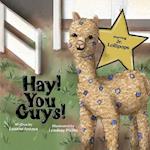 Hay! You Guys! STARRING JUNIOR LOLLIPOPS &#55356;&#57197;