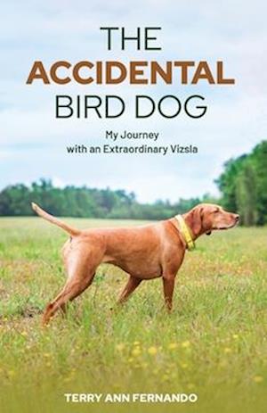 The Accidental Bird Dog