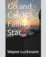 Go and Catch a Falling Star 