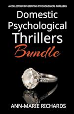 Domestic Psychological Thrillers Bundle 