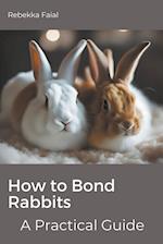 How to Bond Rabbits