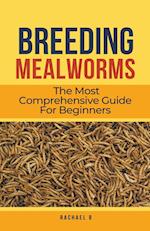 Breeding Mealworms: The Most Comprehensive Guide For Beginners 