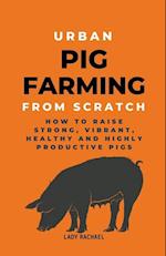 Urban Pig Farming From Scratch