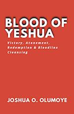 Blood of Yeshua (Victory, Atonement, Redemption & Bloodline Cleansing) 