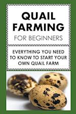 Quail Farming For Beginners