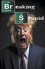 Breaking Stupid 