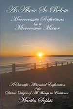 Macrocosmic Reflections in a Microcosmic Mirror 