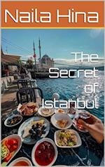 Secret Of Istanbul