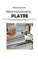 PRÉCIS D'UTILISATION DU PLATRE Procédés de moulage, de durcissement, de coloration, de nettoyage et de conservation à l'intérieure et à l'extérieure