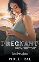 Pregnant By My Roommate