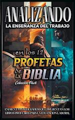 Analizando la Enseñanza del Trabajo en los 12 Profetas de la Biblia