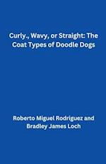 Curly, Wavy, or Straight: The Coat Types of Doodle Dogs 