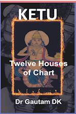 Ketu Twelve Houses of Chart 