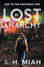 Lost in Anarchy 