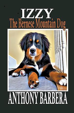 Izzy the Bernese Mountain Dog