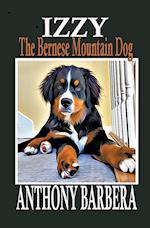 Izzy the Bernese Mountain Dog 