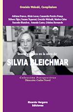 Teoría y clínica en la obra de Silvia Bleichmar