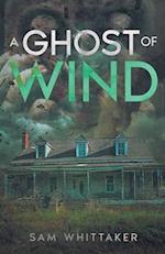 A Ghost of Wind
