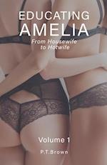 Educating Amelia - From Housewife to Hotwife